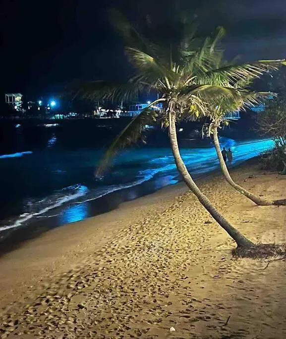 Villa Sol Vistas De Playa Azul Luquillo Puerto Rico